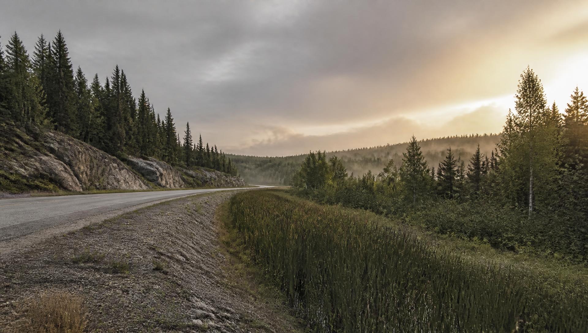 Rural Northern Ontario highway corridor at dawn with a vegetated drainage ditch running alongside the gravel shoulder